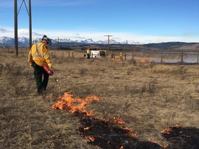 A firefighter lights the grass at Stoney Nakoda First Nation on Tuesday.