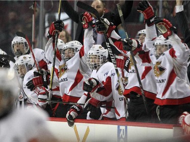 Players on the Cariboo Cougars bench celebrated after the game winning goal against the Regina Pat Canadians to clinch the Max's AAA Midget Tournament male final 2-1 in double overtime at the Scotiabank Saddledome on January 1, 2015.