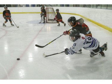 Novice Glenlake Hawks 3's player, in white jersey, reaches for the puck as a  Bow Valley 3 player attempts to clear it out of his end during the finals of the ESSO minor hockey week in Calgary, on January 17, 2015.