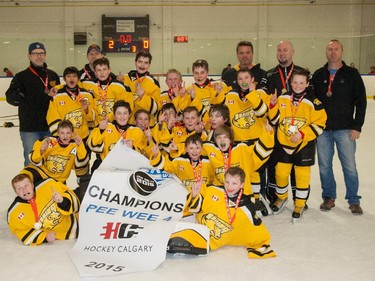 The Bow Valley Bruins - the Pee Wee 4 champions in the 2015 Esso Minor Hockey Week.