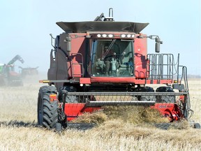 A combine churns through a field near Regina. Equipment sellers say the low Canadian dollar has boosted their sales of used gear.