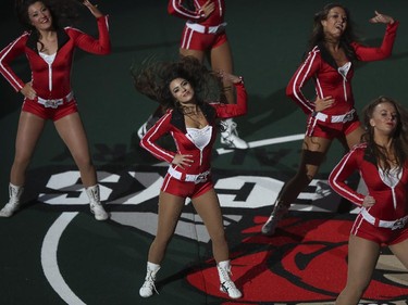 The Roughnecks cheerleading Drill Crew perform between quarters during the Roughnecks home opener against Vancouver Stealth in Calgary, on January 3, 2015.  The Roughnecks couldn't pull it together eventually succumbing to the Stealth 18 to 14.