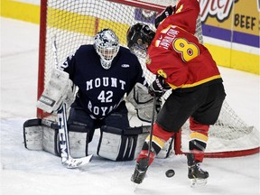 Mount Royal University goalie Jess Ross kept an eye out as University of Calgary forward Iya Gavrilova looked to wrangle the puck for a shot during the Crowchild Classic at the Scotiabank Saddledome on Thursday. Ross made 29 saves to secure on upset win for the Cougars.