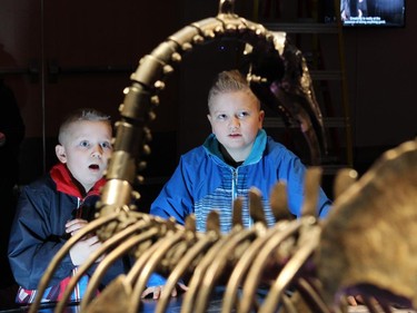 Tony Carmell, 8, and his brother Nate, 11 were able to get a sneak peek of Dinosaurs in Motion o which opens January 31 at TELUS Spark. It is an experience that  mixes science, art and innovation into 14 life-size, kinetic sculptures of Dinosaurs made of recycled steel and anatomically inspired by real fossils that move and roar but only until the end of June.