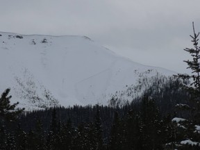 An avalanche at Tent Ridge in Kananaskis Country.