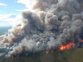 Wildfire in the boreal forest of Wood Buffalo National Park in June  2014.