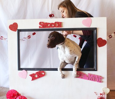 Tayrn Dixon helps get Bo in position in the  photo booth during the Puppy Love Valentine's Party at Bowdog, a doggy daycare and kennel in Calgary on February 13, 2015.