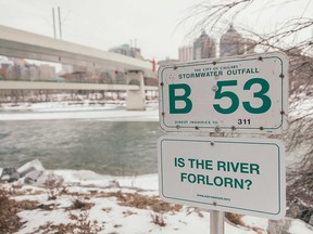 Signs along Memorial Drive question the emotions of the Bow River.