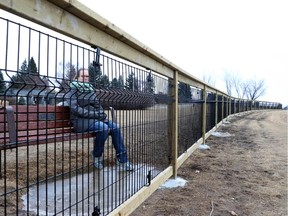 Bethany Wall looks through the fence to see the scenic view overlooking the Elbow River from Britannia Drive, in Calgary on February 17, 2015.