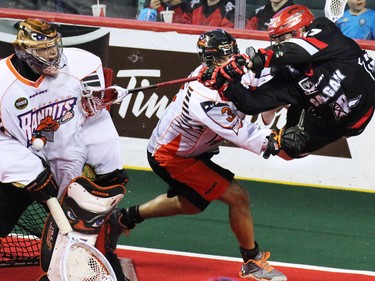 Calgary Roughneck Jeff Shattler goes airborne against the Buffalo Bandits during National Lacrosse League action at the Scotiabank Saddledome on Saturday Feb. 7, 2015. The Roughnecks ended up loosing 15-14.