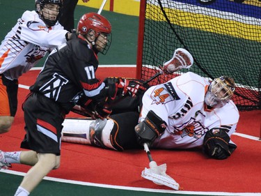 Calgary Roughneck Curtis Dickson lines up a shot on the Buffalo Bandits goalie Anthony Cosmo during National Lacrosse League action at the Scotiabank Saddledome on Saturday Feb. 7, 2015.