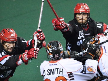 Calgary Roughneck Jeff Moleski, left and Greg Harnett tangle with Buffalo Bandits players during National Lacrosse League action at the Scotiabank Saddledome on Saturday Feb. 7, 2015.