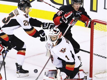 Calgary Hitmen goaltender Brendan Burke looks to cover a rebounding puck during first period of WHL action agains the Prince George Cougars at the Scotiabank Saddledome on Wednesday February 11, 2015.