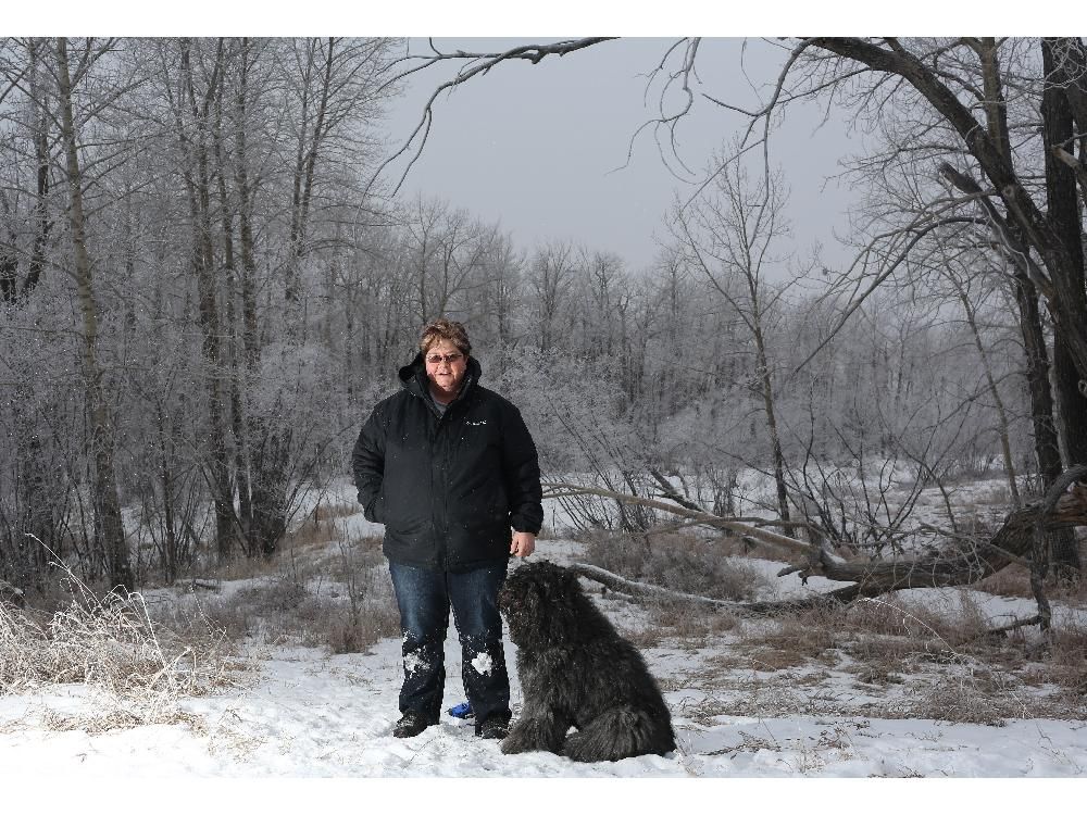 Calgary dog and owner seeking Westminster glory Calgary Herald