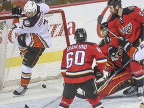 The Flames watch as Anaheim Ducks' Andrew Cogliano pop the puck in the net then knocks it out of place during game action at the Saddledome in Calgary, on February 20, 2015.