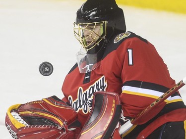 Calgary Flames goalie Jonas Hiller makes a save against the Anaheim Ducks during game action at the Saddledome in Calgary, on February 20, 2015.