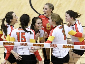 The U of C Dinos celebrate a-go-ahead point against the UBC Thunderbirds during Canada West quarterfinal volleyball action at the Jack Simpson Gym Friday night.