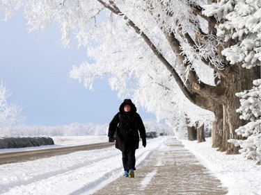 Taralyn Shires walks down 12th Ave. in High River with the frost making for a beautiful backdrop on Friday, February 6, 2015.
