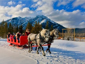 A Lake Louise sleigh ride is an ideal romantic getaway you can organize quickly.