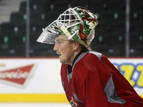 Calgarian Devan Dubnyk has been the chief reason the Minnesota Wild's fortunes have dramatically turned around in the past month.