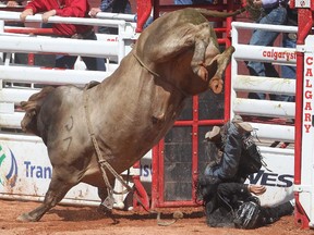 Aaron Roy of Yellowgrass, Saskatchewan is tossed from Gretzky the bull seconds before being seriously injured during the 2013 Calgary Stampede.
