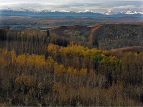 Fall colours stretch towards the distant Rocky Mountains as seen from Glenbow Ranch Provincial Park Tuesday October 9, 2012.