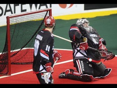 Calgary Roughnecks goaltender Frankie Scigliano saves against a Toronto Rock assault the Scotiabank Saddledome in Calgary on Saturday, March 28, 2015. The Calgary Roughnecks tiedToronto Rock, 5-5, at the half in regular season National Lacrosse League play.