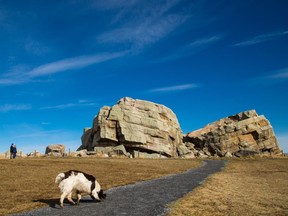 A couple of visitors to the Big Rock walk their dog around the glacial erratic in Okotoks, Alberta, on March 19, 2015.