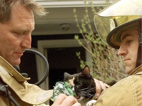 Firemen Dwayne Price, left, revives a cat from a house fire in 2002. Marijuana charges against Price were dropped today.