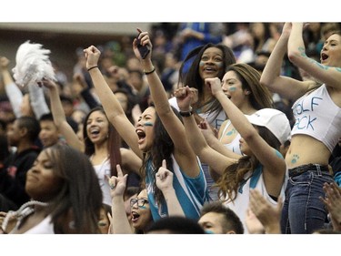 Bishop McNally Timberwolves fans let loose during the dying minutes of their victory over the Sir Winston Churchill Bulldogs, and the City High School Division One Basketball Championship, Saturday night  March 14, 2015 at the University of Calgary.