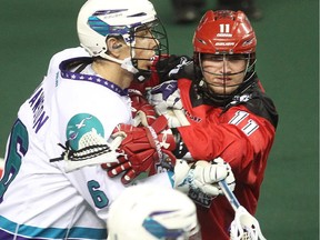 Greg Harnett of the Calgary Roughnecks jousts with Dan Dawson of the Rochester Knighthawks on Saturday night.