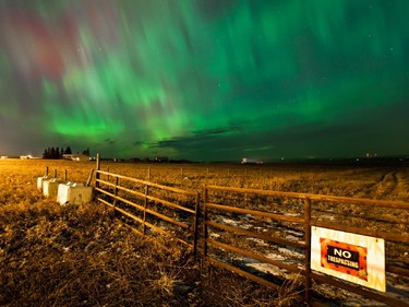 The northern lights over the Sage Hill area of NW Calgary taken at 2 a.m.  March 17, 2015 by Westjet encore pilot Matt Melnyk.