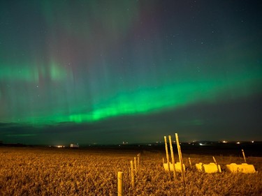 The northern lights over the Sage Hill area of NW Calgary taken at 2 a.m.  March 17, 2015 by WestJet encore pilot Matt Melnyk.