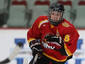 University of Calgary Dinos star Iya Gavrilova will lead Russia into the women's world hockey championship, starting this weekend.