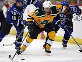 University of Alberta's #9 Lindsey Cunningham drives hard to to the net as Montreal Carabins #16 Janique Duval and #22 Jessica Cormier follow in pursuit during quarterfinal game #4 of the 2015 CIS Women's Hockey Championship held at the Markin MacPhail Centre in Calgary Friday night.