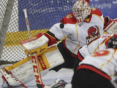 University of Calgary Dinos' goalie Kris Lazaruk makes a save during CIS playoff action against the Mount Royal Cougars at Father David Bauer arena in Calgary, on March 1, 2015.