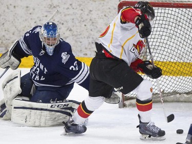 Calgary Dinos' Kevin King dekes out Mount Royal Cougars' goalie Dalyn Flette  to score the first goal of the game during CIS playoff action at Father David Bauer arena in Calgary, on March 1, 2015.