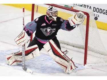 Calgary Hitmen goalie Brendan Burke reached for a shot by the Kootenay Ice during first period WHL action at the Scotiabank Saddledome on March 22, 2015.