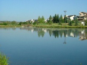 Mitford Park is one of the many ways to enjoy down time in Cochrane.