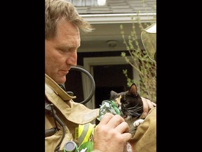 Calgary firefighter Dwayne Price revives a cat from a house fire in this file photo.