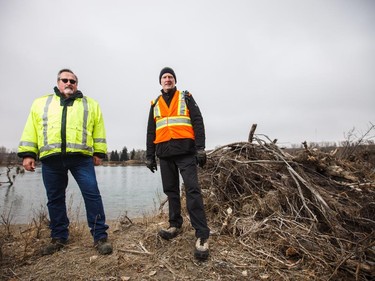 Doug Marter and Jim Klimes walk through the Inglewood Bird Sanctuary in Calgary on Monday, March 23, 2015.