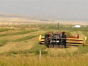 Alberta is the only jurisdiction in Canada where farm and ranch employees do not have any form of labour relations coverage