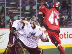 Roughneck Dane Dobbie, right, leaps to score against New England Black Wolf goaltender Evan Kirk in lacrosse at the Scotiabank Saddledome in Calgary on Friday, March 20, 2015.