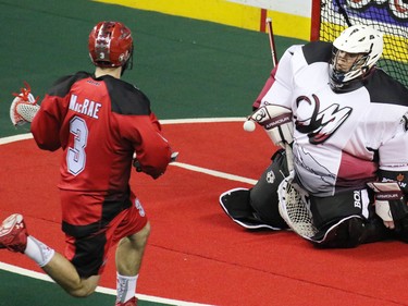 The Calgary Roughnecks' Dan MacRae races for a possible rebound off of Colorado Mammoth goaltender Alex Buque during National Lacrosse League action at the Scotiabank Saddledome on Saturday April 4, 2015.