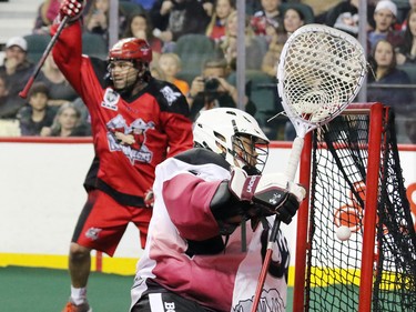 he Calgary Roughnecks' Shawn Evans celebrates as the Roughnecks score on Colorado Mammoth goaltender Alex Buque during National Lacrosse League action at the Scotiabank Saddledome on Saturday April 4, 2015.