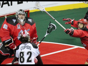 The Calgary Roughnecks' Mike Carnegie reaches to block a shot from  Colorado Mammoth Joey Cupido in front of Necks' goaltender Frankie Scigliano during National Lacrosse League action at the Scotiabank Saddledome on Saturday April 4, 2015.