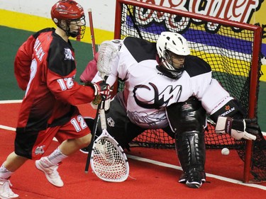Gavin Young, Calgary Herald
The Calgary Roughnecks' Cam Flint scores on Colorado Mammoth goaltender Alex Buque during National Lacrosse League action at the Scotiabank Saddledome on Saturday April 4, 2015.