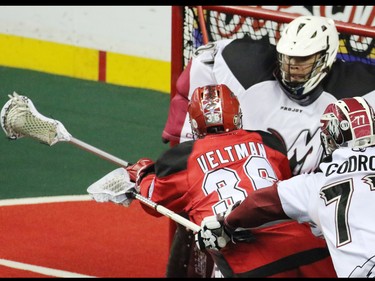The Calgary Roughnecks' Daryl Veltman scored on this shot on Colorado Mammoth goaltender Alex Buque during National Lacrosse League action at the Scotiabank Saddledome on Saturday April 4, 2015.