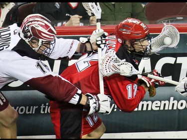 The Calgary Roughnecks' Sean Pollack and Colorado Mammoth Cam Holding tangle along the boards during National Lacrosse League action at the Scotiabank Saddledome on Saturday April 4, 2015.