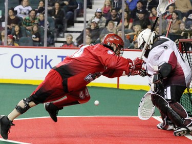 The Calgary Roughnecks' Geoff Snider races for a possible rebound off of Colorado Mammoth goaltender Alex Buque during National Lacrosse League action at the Scotiabank Saddledome on Saturday April 4, 2015.